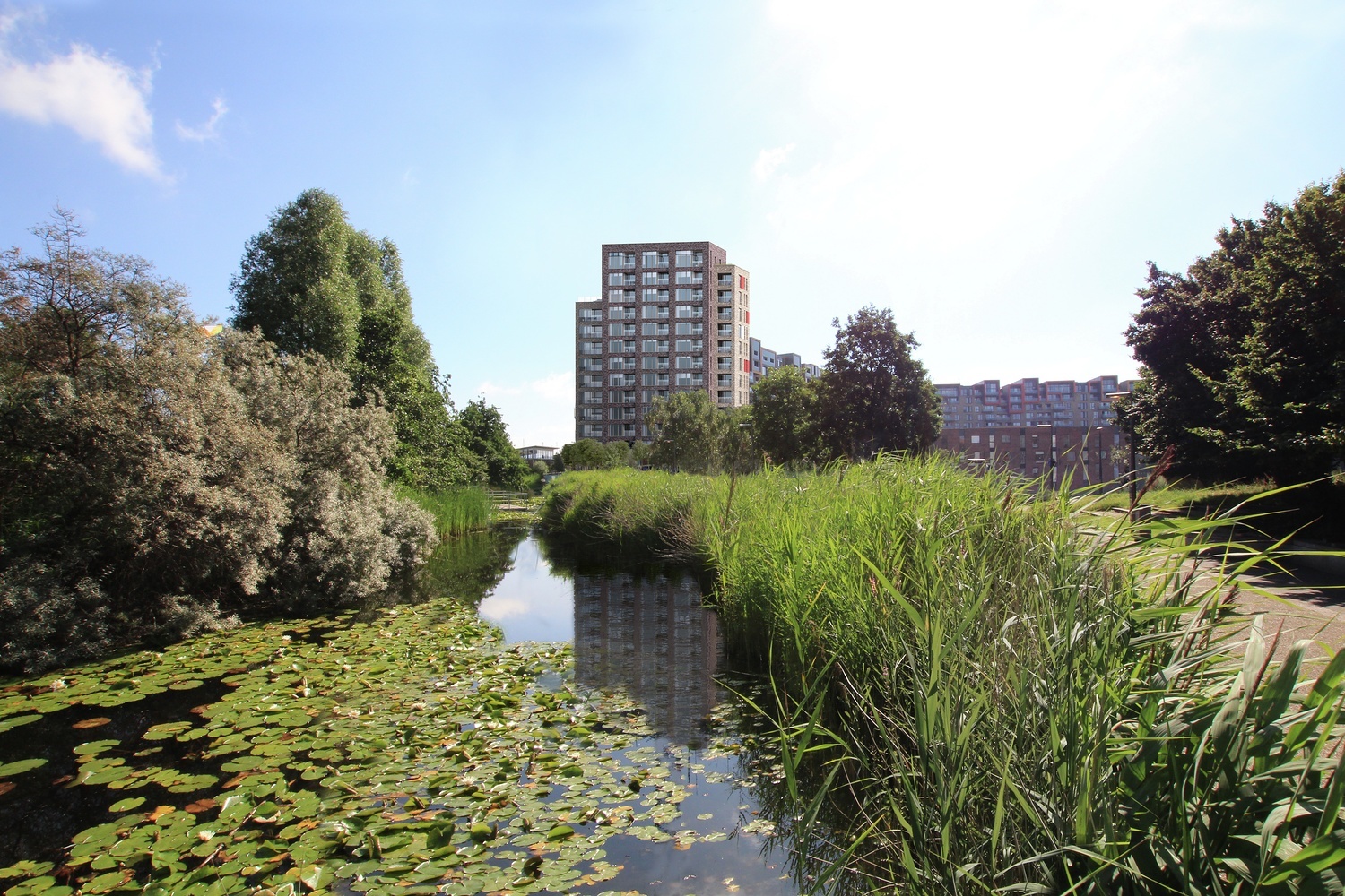 Ecological Park 2