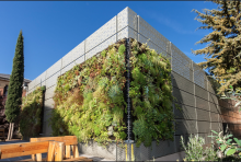 espacio itdUPM_green wall